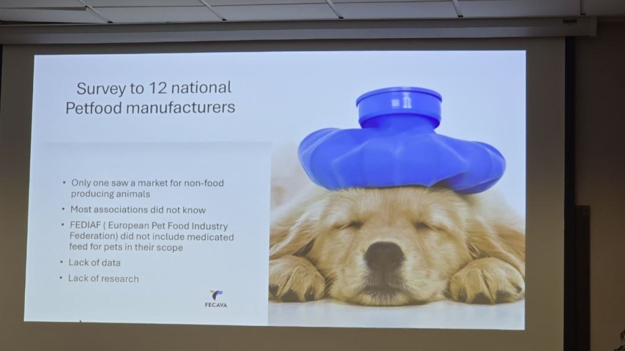 FECAVA: Medicated feed для домашніх тварин - ризики, виклики та позиція європейської федерації. FEEVA: Оновлення щодо ветеринарної практики з кіньми