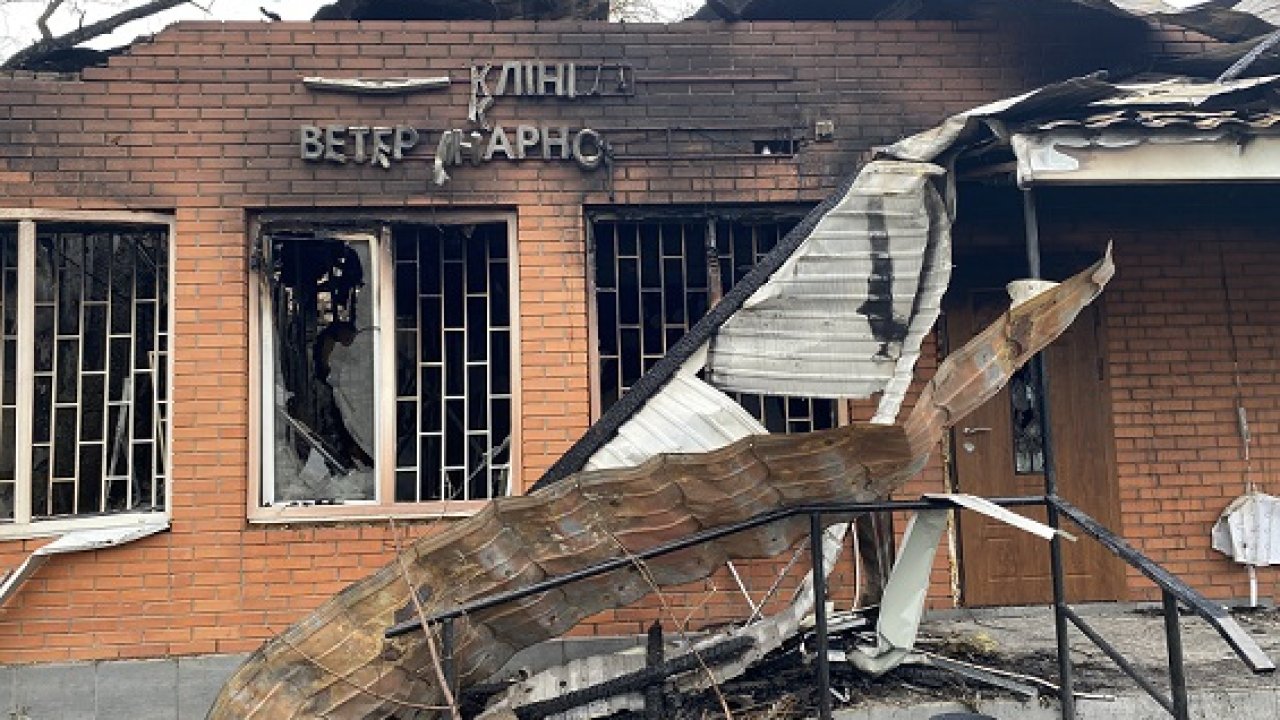 Малишко Андрій,  м. Дніпро
