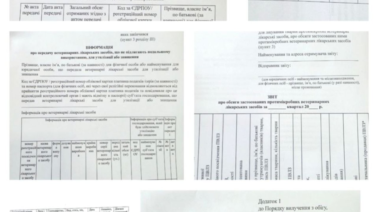 Оновлені ФОРМИ документної звітності