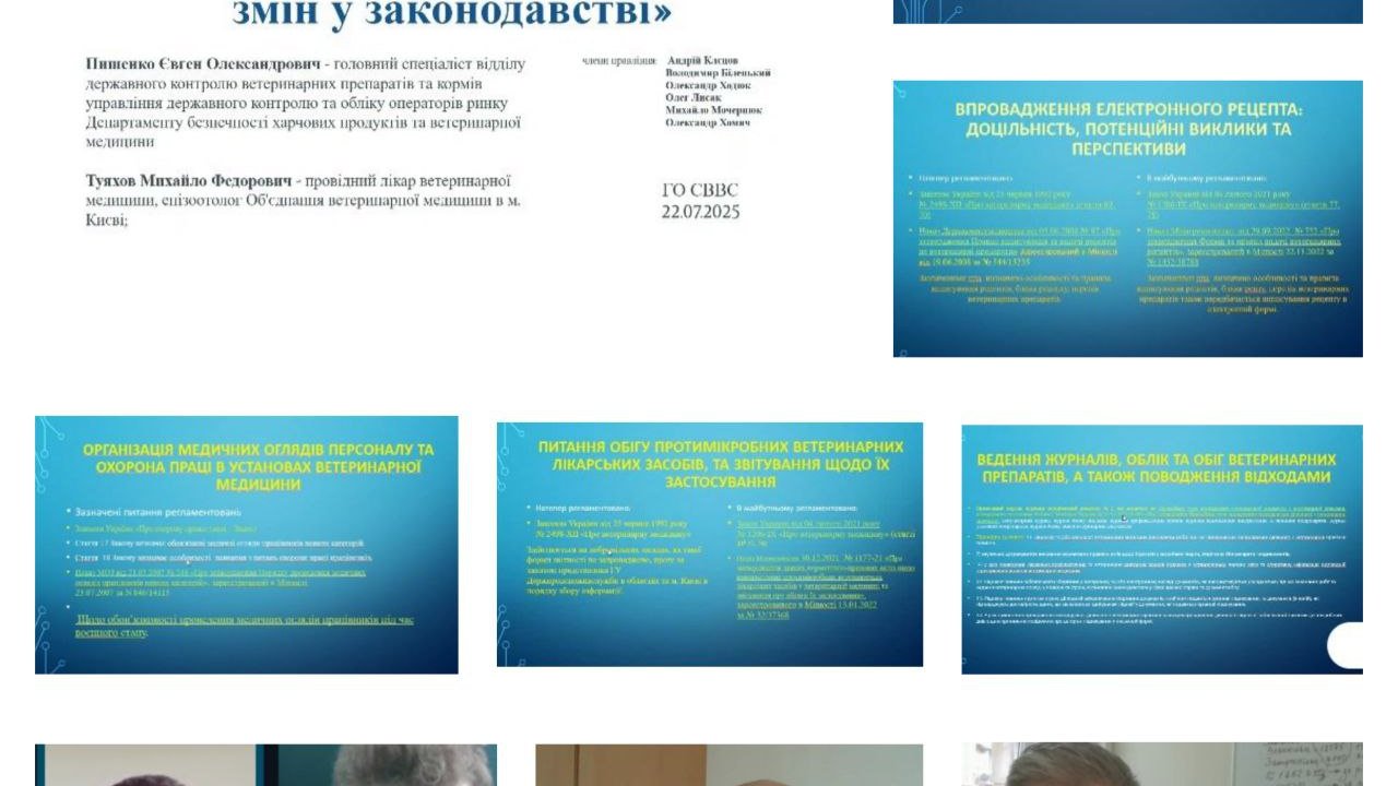 Online Webinar