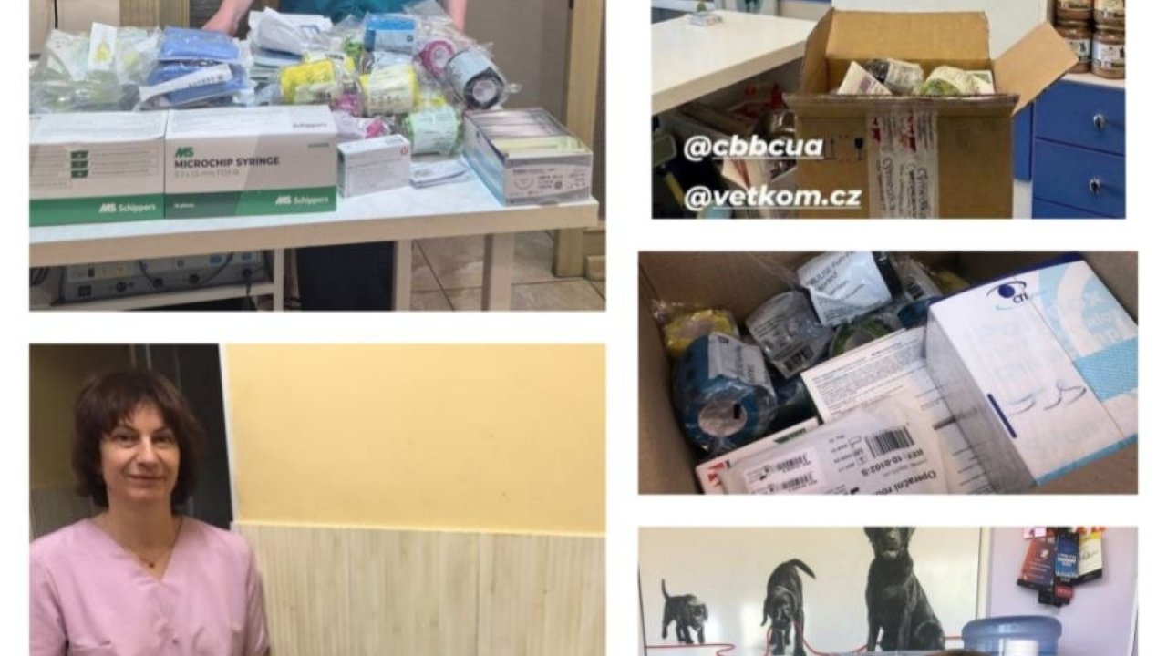 Публічний звіт.  Гуманітарна допомога від чеських колег.