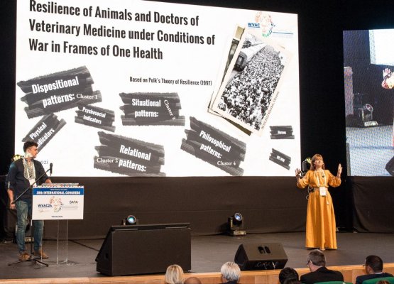 photo_2025-12-12_10-31-50 photo_2025-12-12_10-31-50