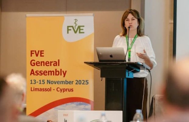 photo_2025-11-24_09-59-37 photo_2025-11-24_09-59-37