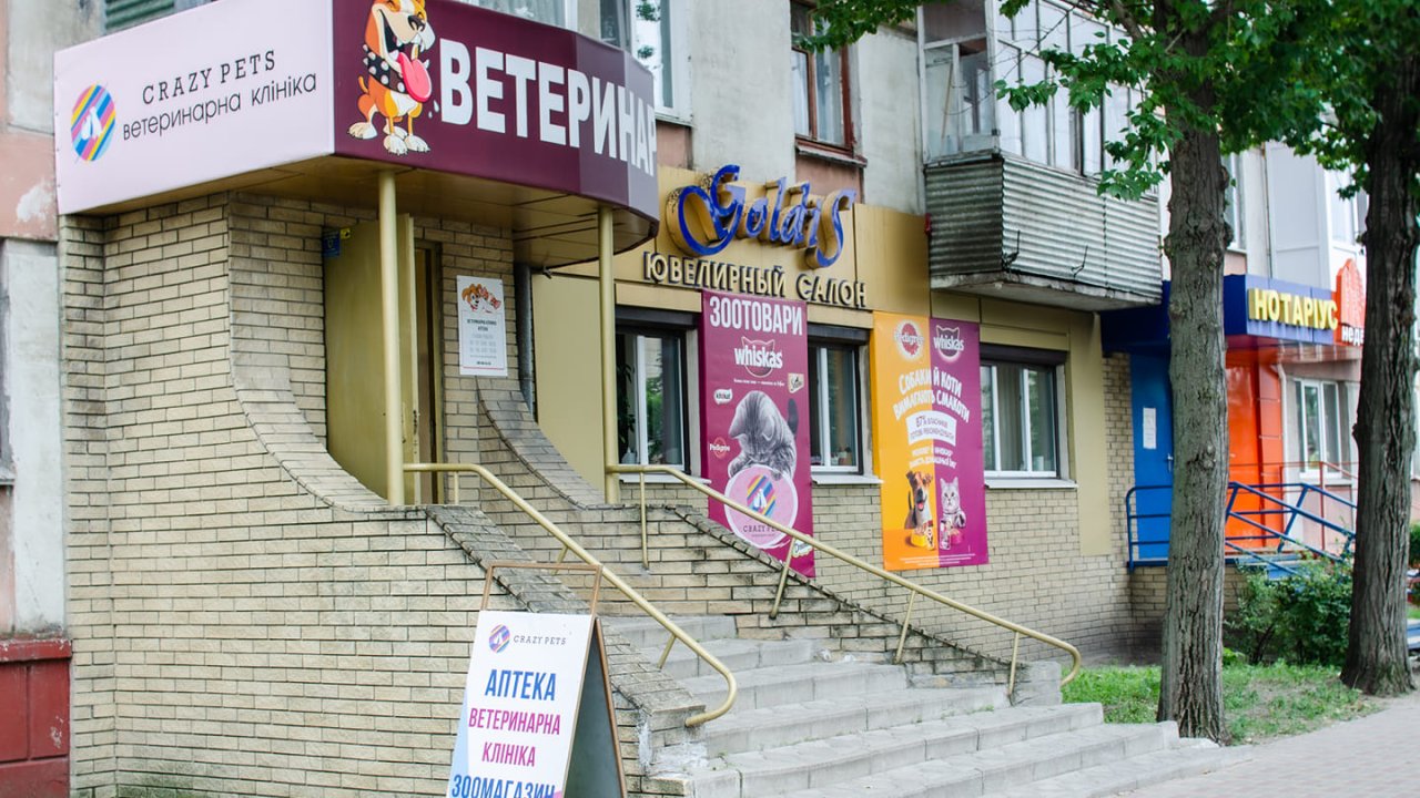 Yana Kunchenko, owner of the "Crazy Pets" veterinary clinic in Severodonetsk.