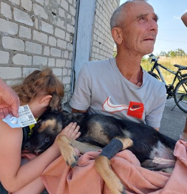 sterlization_Beludivka_dog