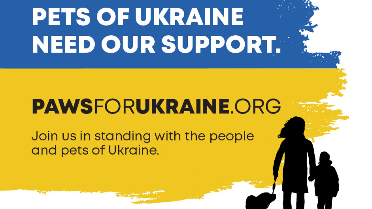  Завершення проєкту #SavePets_SaveVets